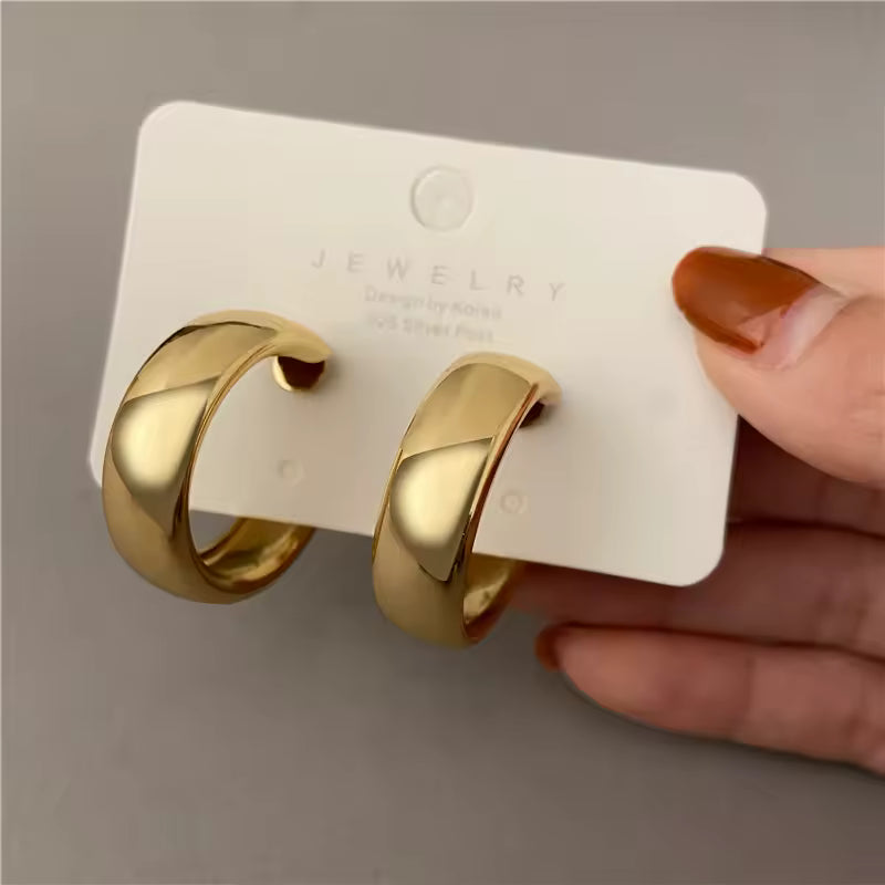 Lux Fashion Earrings - Gold and Silver